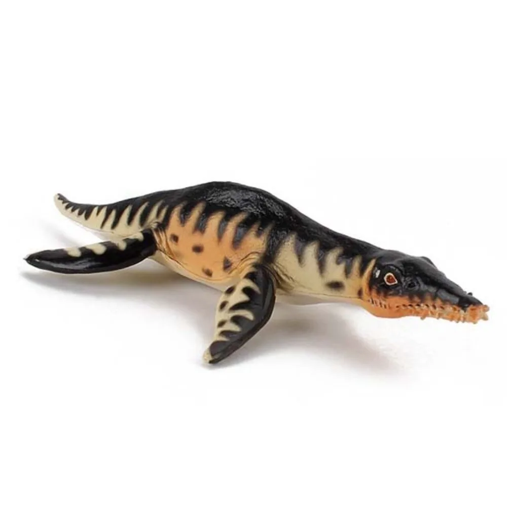 Plesiosaur Prehistoric Biological Model Thalassomedon Liopleurodon Jurassic Ancient Animal Kronosaurus Animals Model