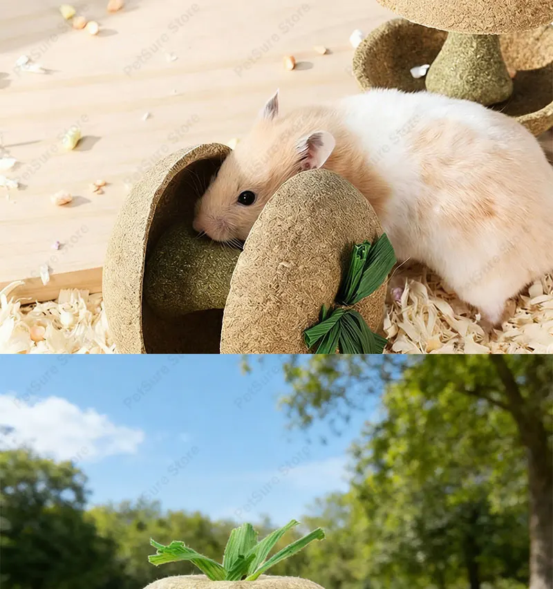 Hamster Chew Toys for Teeth & Natural Timothy Grass Bunny Treats Sb3e66bebd3454d3789945c3e92b11bf3y