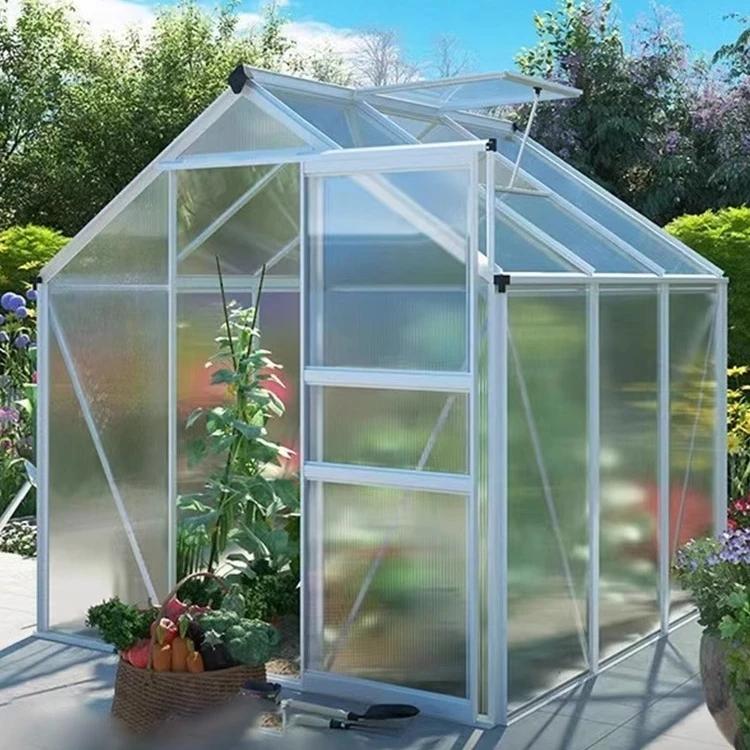 

2025Трусые овощи, порошок, промышленная беседка, окно, клубника, сельское хозяйство, теплица, коммерческие теплицы, палатка для посадки