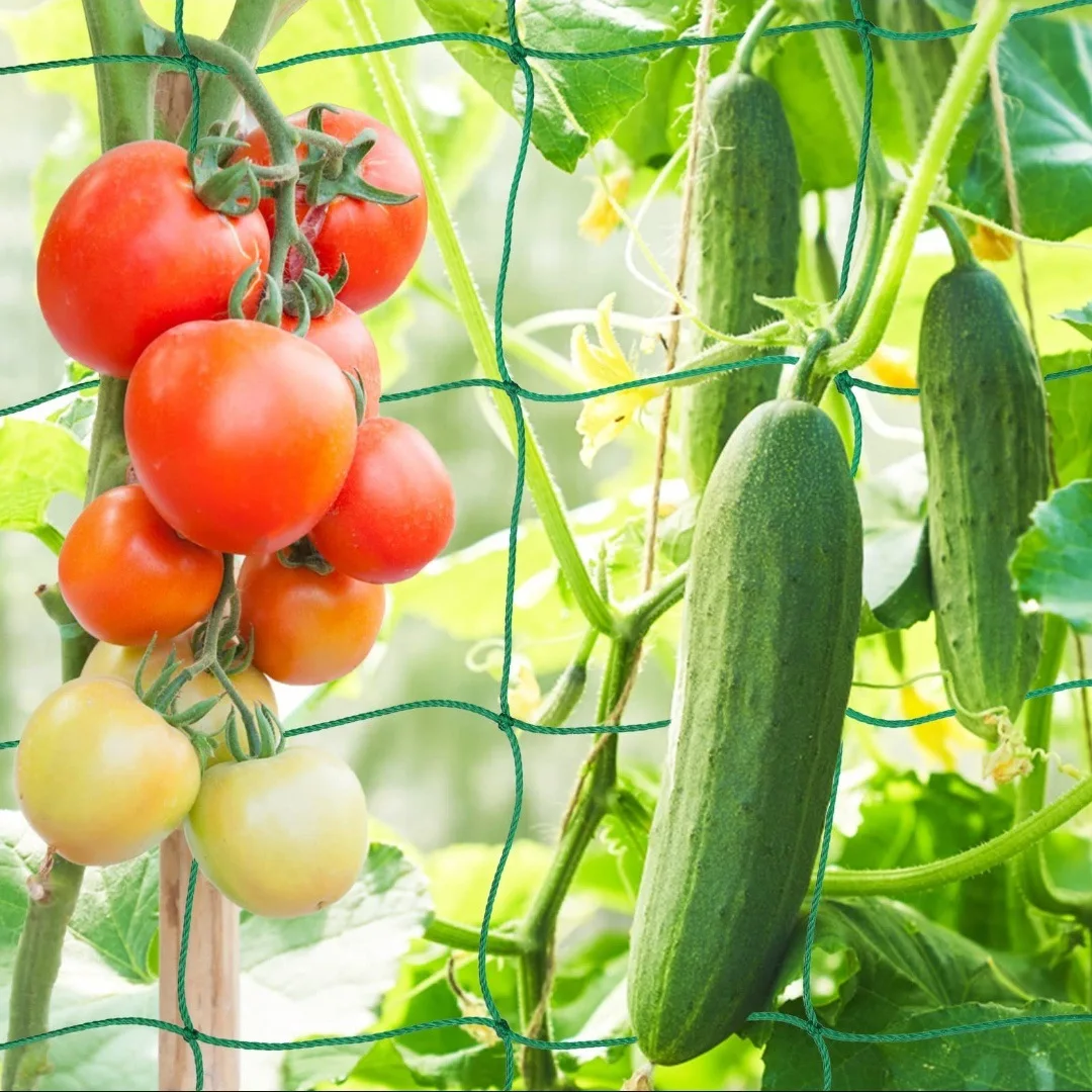 Pflanzenspalier Pergolen, robustes Polyester-Wachstumsnetz, Gartenspaliernetz mit quadratischem Netz zum Klettern von Pflanzen, Gemüse – Detail 1