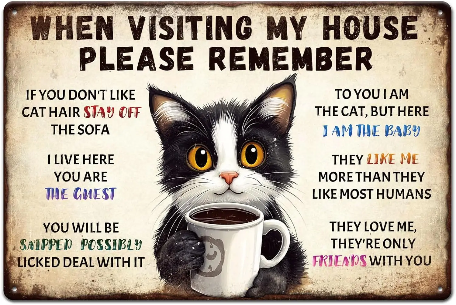 GLOBLELAND Cat Room Rules Metal Tin Sign 