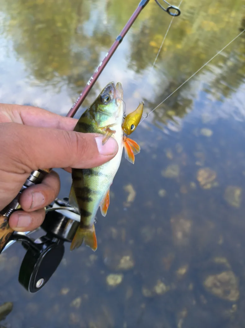 Kingdom Micro Popper Angelköder, 1,5 g, 27 mm, 2,2 g, 34 mm, künstlicher schwimmender Kurbelköder, Topwater-Hartwobbler zum Angeln auf Barschforellen – Detail 3