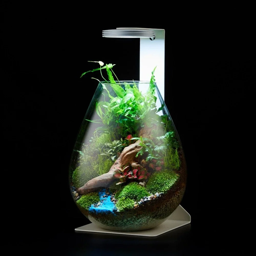 Desktop Glass Plant Terrarium with Grow Light,Magnetic Suction Aquatic Plant Lamp for Micro Landscape,Aquatic Plant,Bonsai,Moss