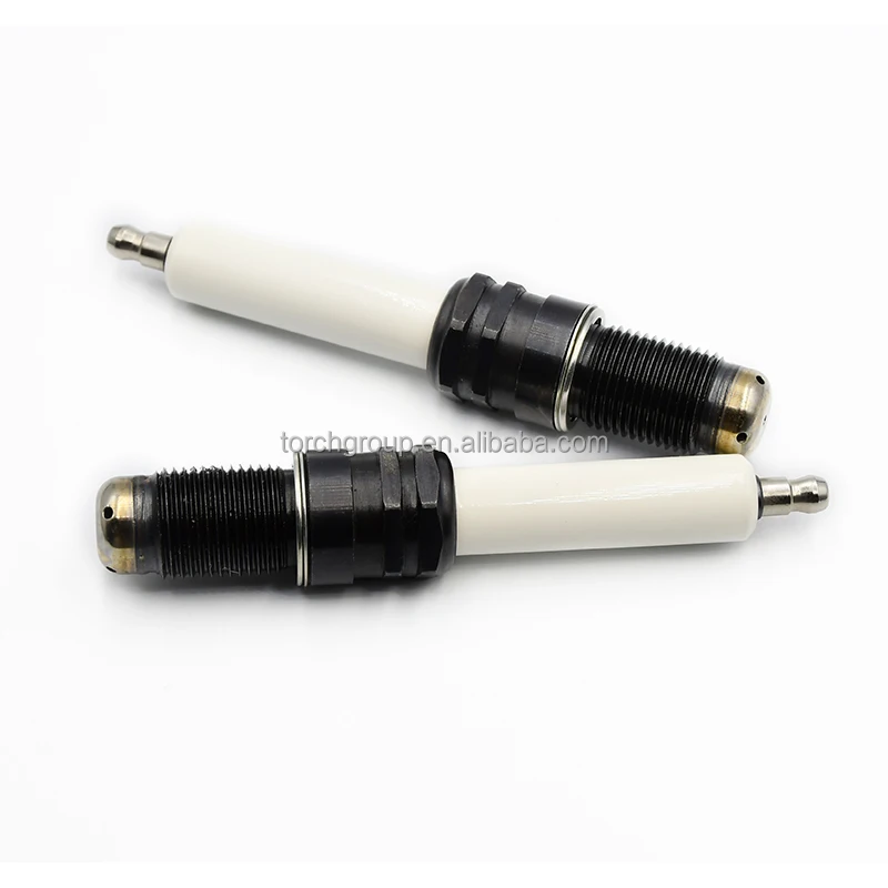 Double Iridium L 76.64.653/76.64.765  Engines Spark Plug Ignition Parts With Certification Approved