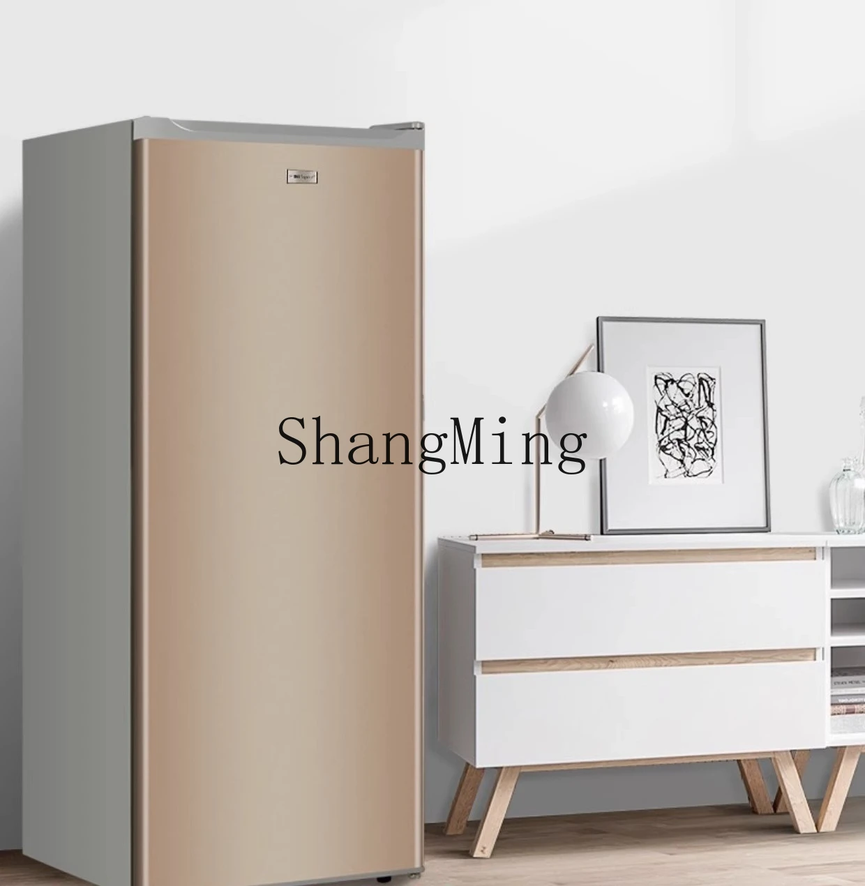 ZYY piccolo frigorifero congelato 180L congelatore a cassetto verticale piccolo risparmio energetico domestico