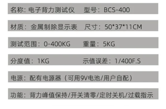 Evaluation of Back and Lumbar Muscle Function and Physical Fitness Testing Rehabilitation with Electronic Backforce Meter