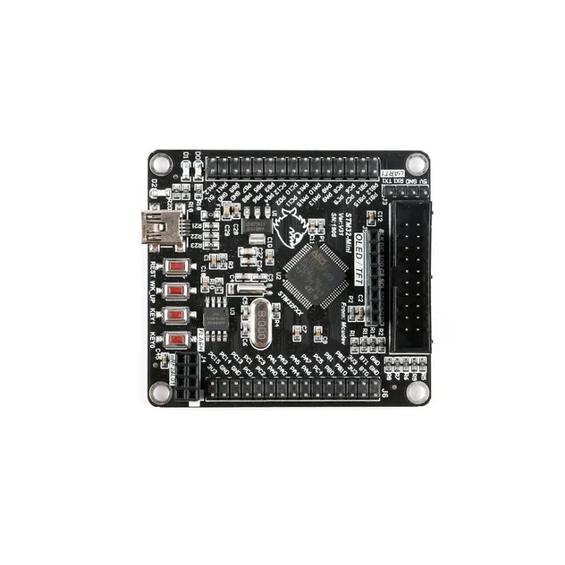 Picture 5: STM32F103RCT6 Development Board STM32 Development Board / ARM Embedded System Board