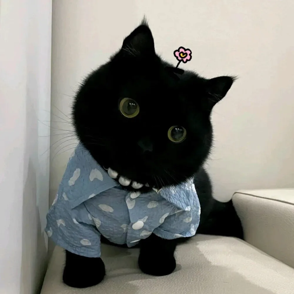 

4pcs 1.0" Metal Beadlock Wheel Tire Set For 1/18 RC Crawler Car TRX4M SCX24 Upgrade Parts Accessories