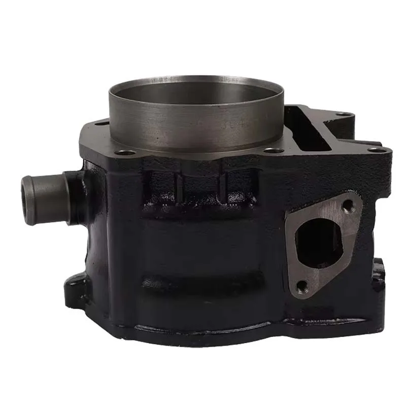 Motorcycle Parts Cylinder Assembly GTS300  300cc