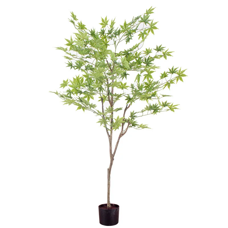 

Simulation, maple, red maple, bonsai, Nordic, home, decoration, simulation