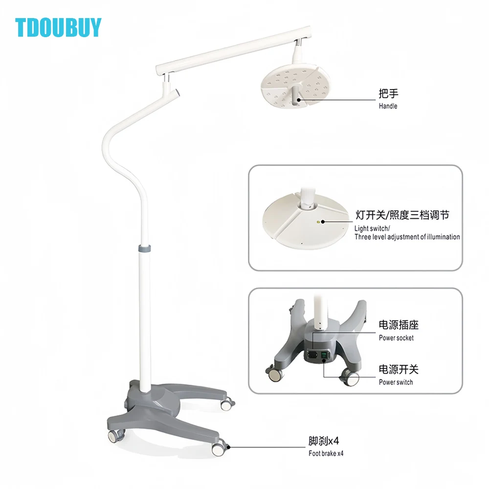 50W Floor Standing LED Vertical Shadowless Operating Lamp Dental Examination Light KD-2018L-1 for Veterinary Procedure