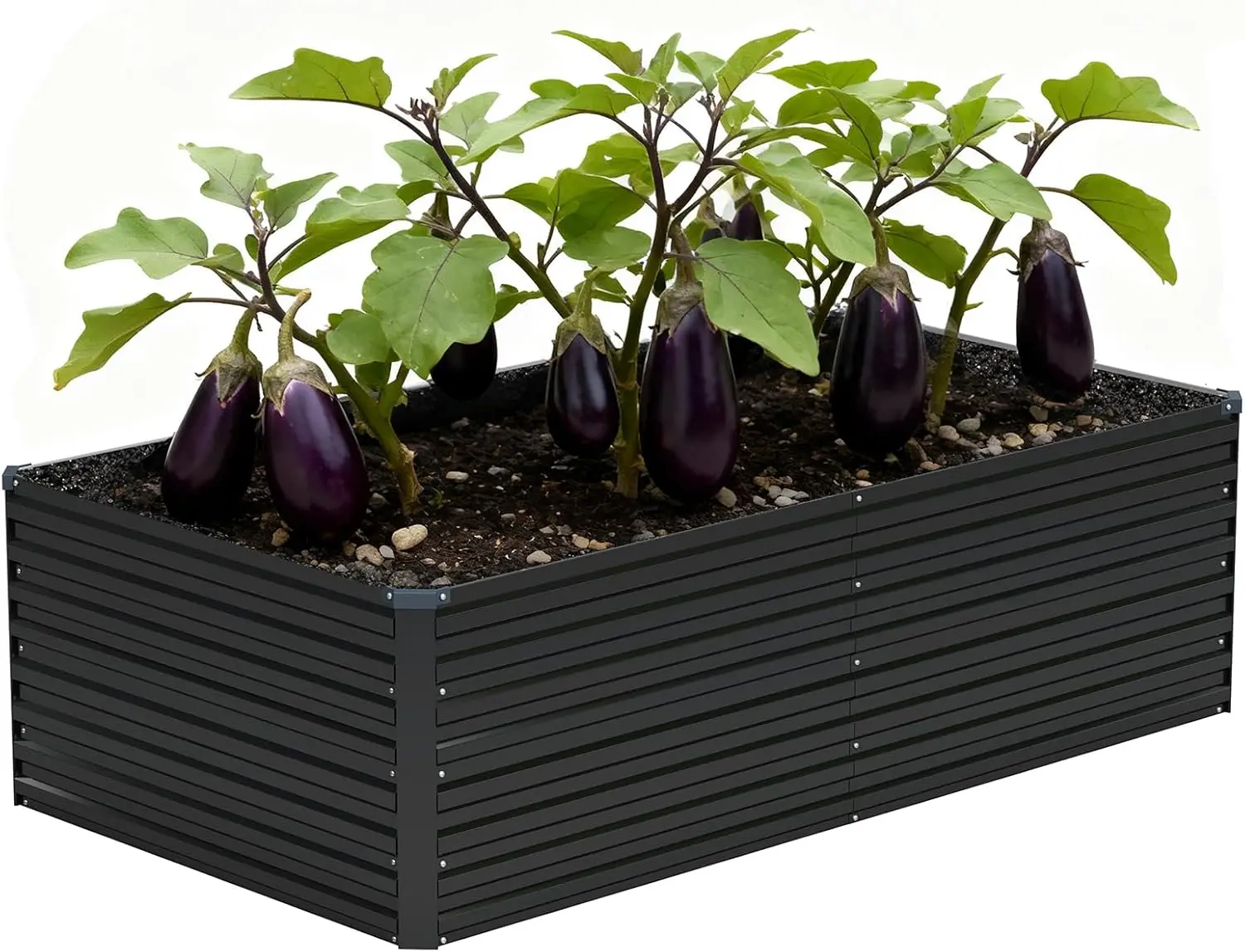 Raised Garden Bed & Planter Box, Galvanized Metal, 6x3x2FT, Black