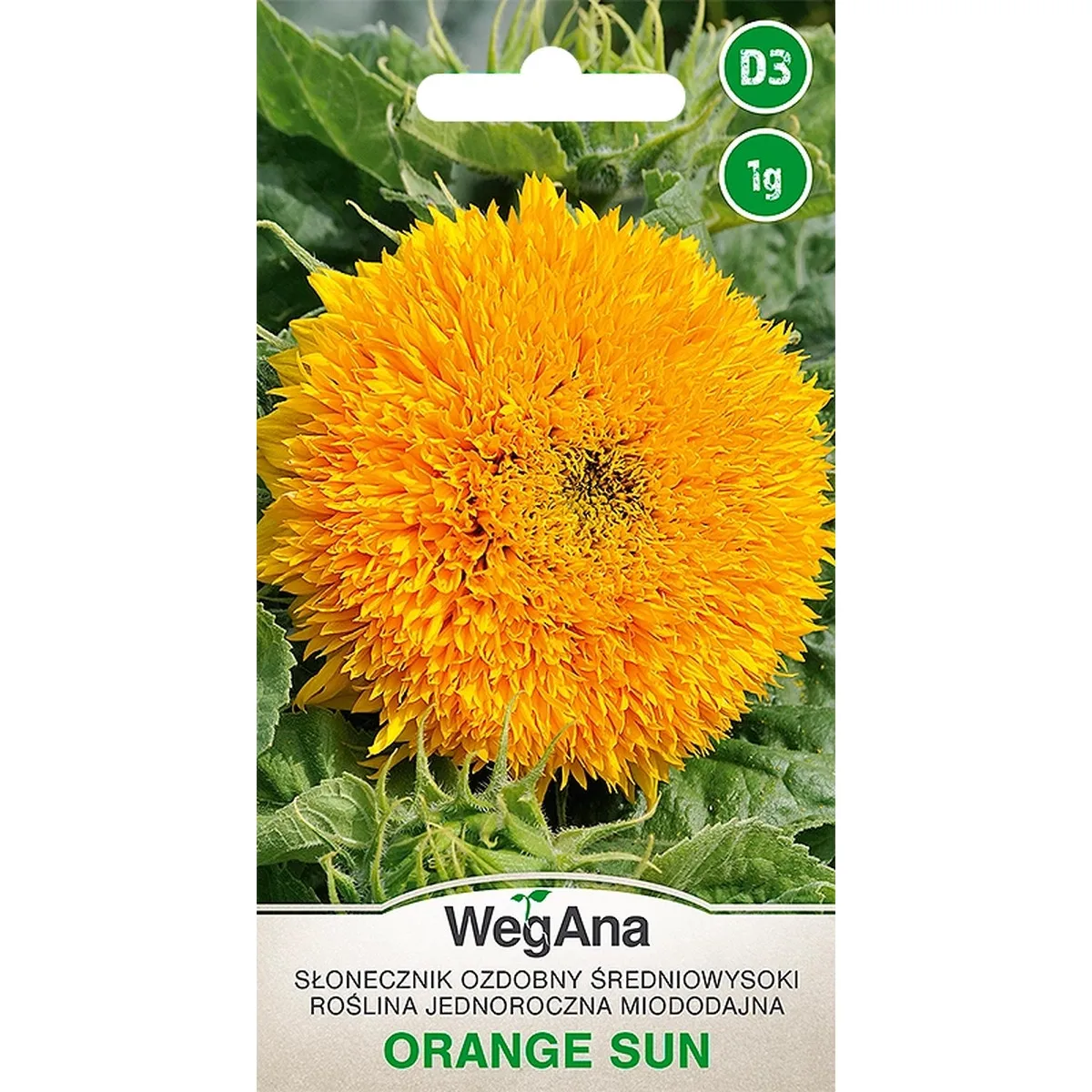 Naranja Sol Girasol Ornamental Jugo Medio Naranja Sol 1 G Semillas de Flores VegAna