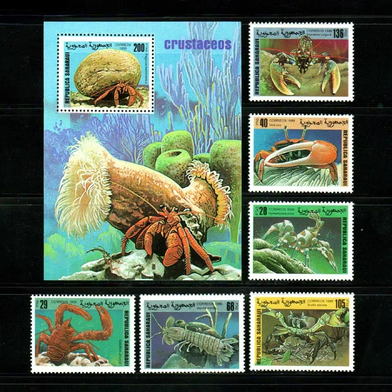 6 PCS+1, Sahara, 1999, Sealife, Real Original Post Stamps, MNH