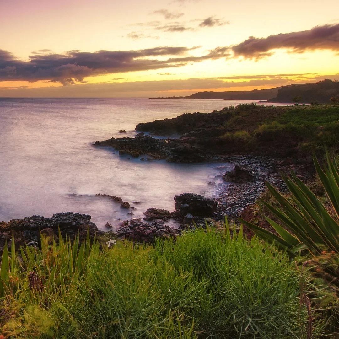 

12.1 Inch Car Radio For Ford Explorer 2011-2019 Tesla Carplay Vertical Screen GPS Navigation Android Multimedia DVD Player Unit