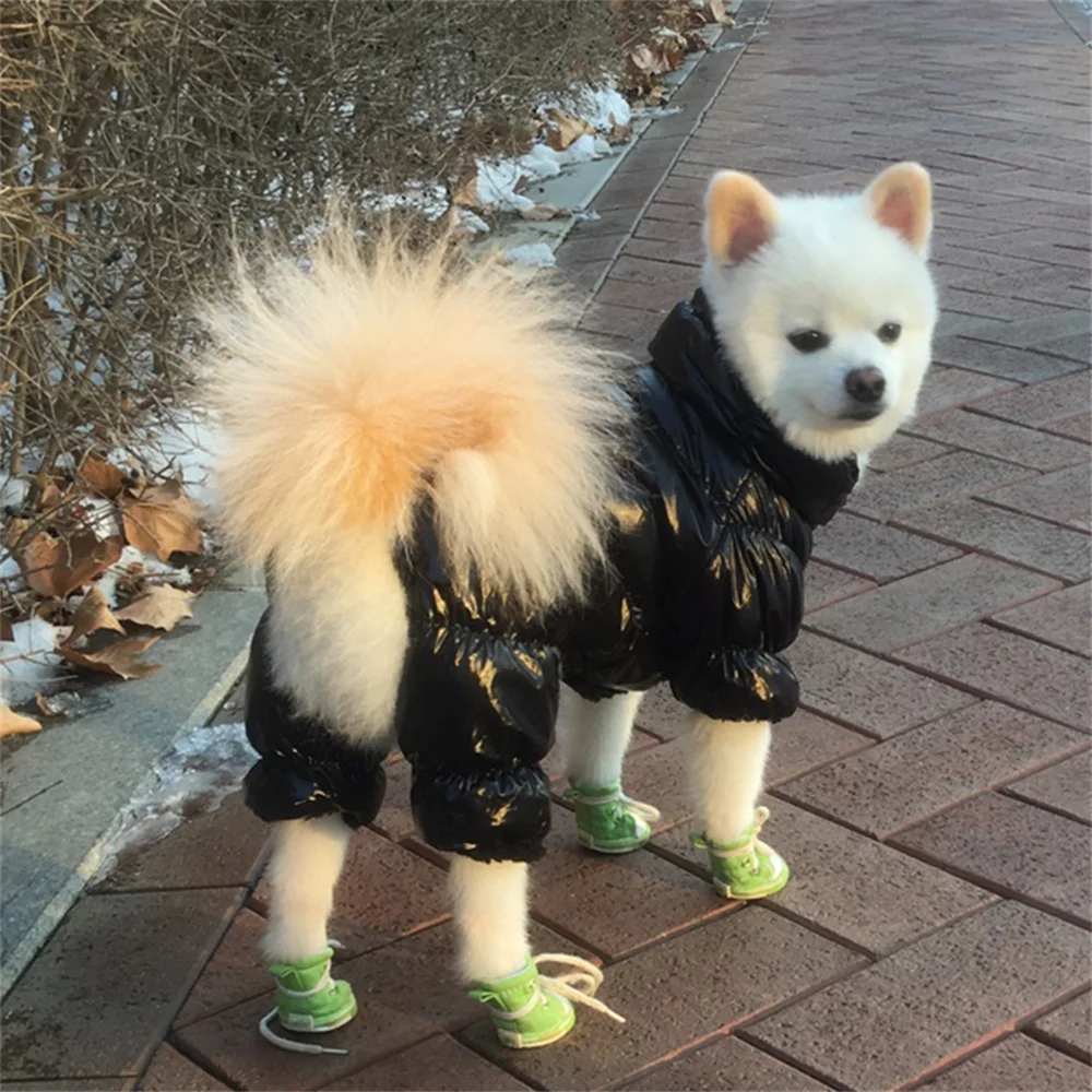 5 Colors Cat Dog Down Jacket Winter Small Medium Dog Clothes for Dogs Shih Tzu Bulldog Jumpsuit Puppy Coat Pet Clothing Overalls