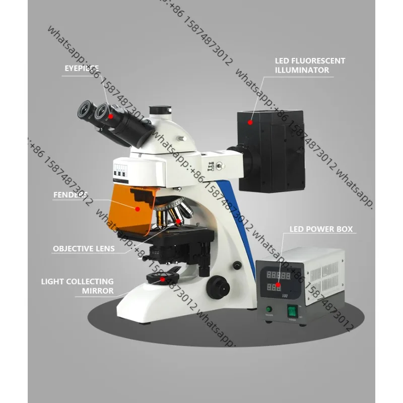 

BK5000TR Eyepiece WF10X/20mm Polarizing Microscope Price Trinocular Biology Microscope