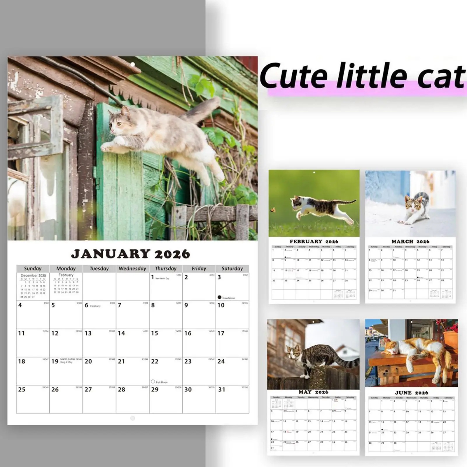 2026 Cat Calendar 13-Month Schedule Planner Monthly Calendar for Students Teachers Consultants Freelancers Studio Workshop