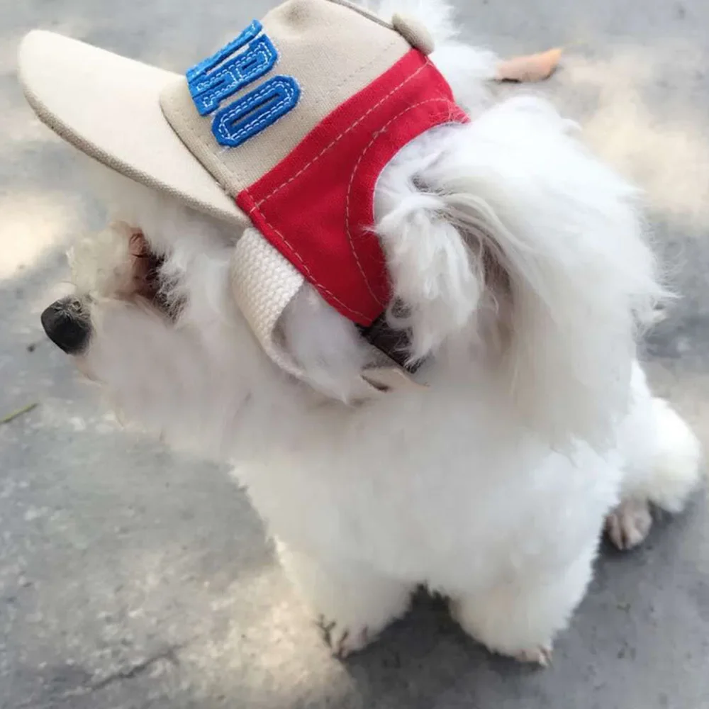 Casquette de sport avec lettre pour animaux de compagnie, chapeau de baseball, visière, extérieur, accessoires pour animaux de compagnie, bonnet de