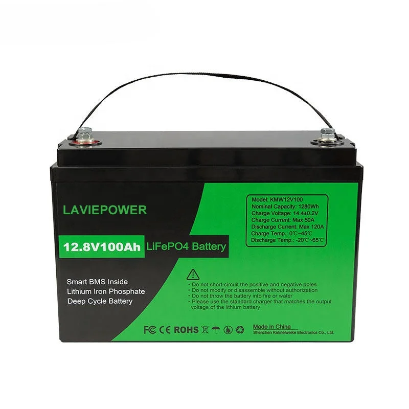 Motorcycle Car Outdoor Power Backup 12V 12.8V 100Ah 200Ah LiFePo4 Lithium Ion Batteries Solar Battery