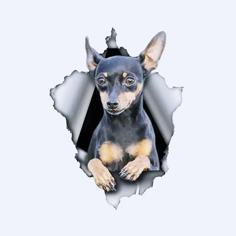 13cm X 9.7cm 1 Pcs Pinscher Dog Car Sticker Torn Metal Decal Waterproof 3D Car Decals Reflective Vinyl Pet Dog Stickers,KK