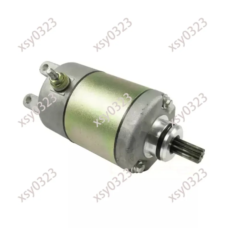 Starter Motor with Dual Gear for LH300 YP250 260 ATV400 Engine Parts