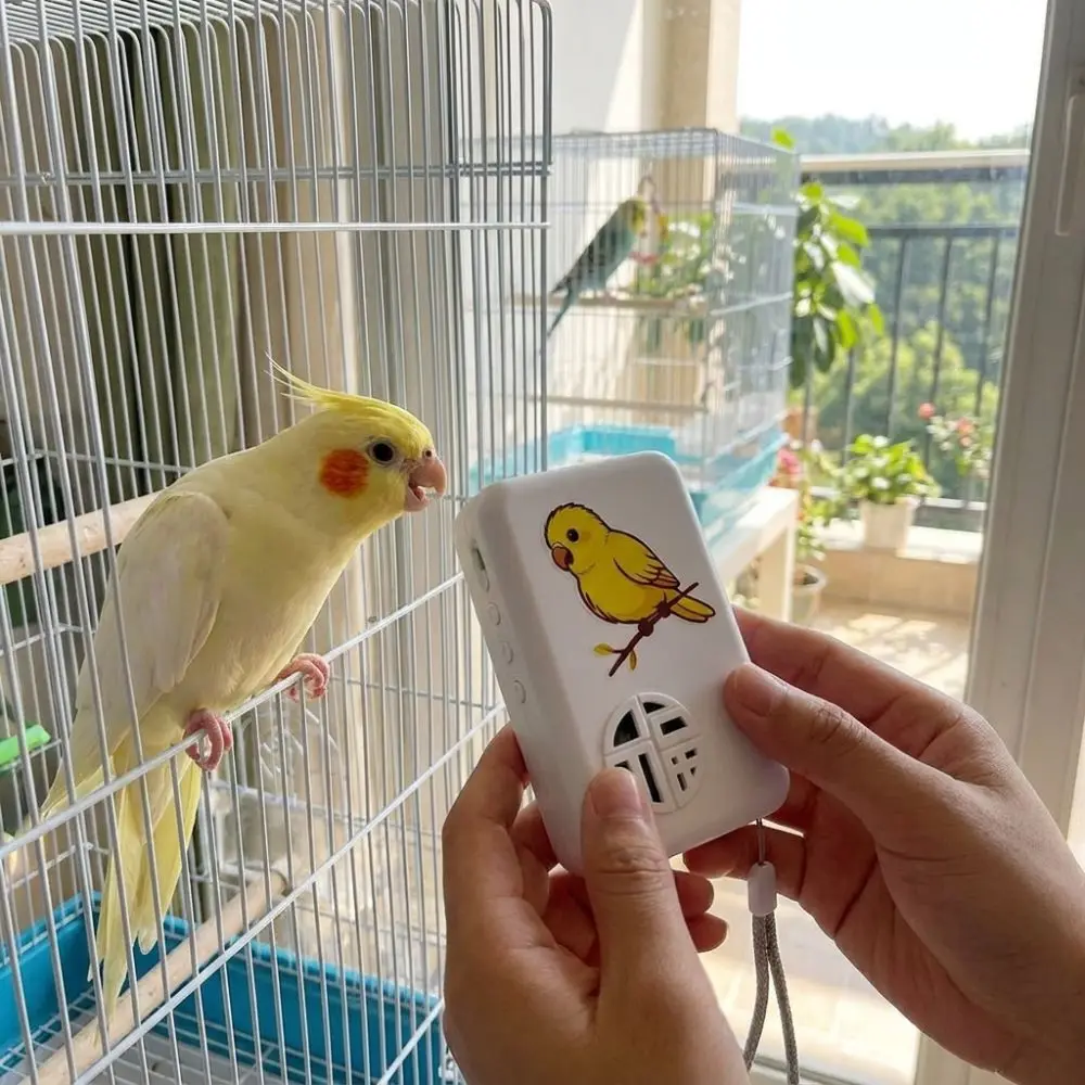 Machine d'apprentissage interactif pour oiseaux avec enregistrement vocal, lecture automatique et entraînement à la parole, cycle automatique et audio multi-segments