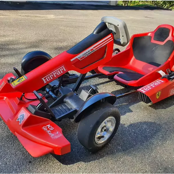 

Outdoor Racing Cheap Go Kart Price Remote Control Go Karts for Kids Adults