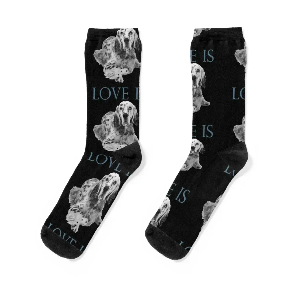 English setter Dog Lover Socks winter gifts Stockings men cotton high quality Socks For Women Men's