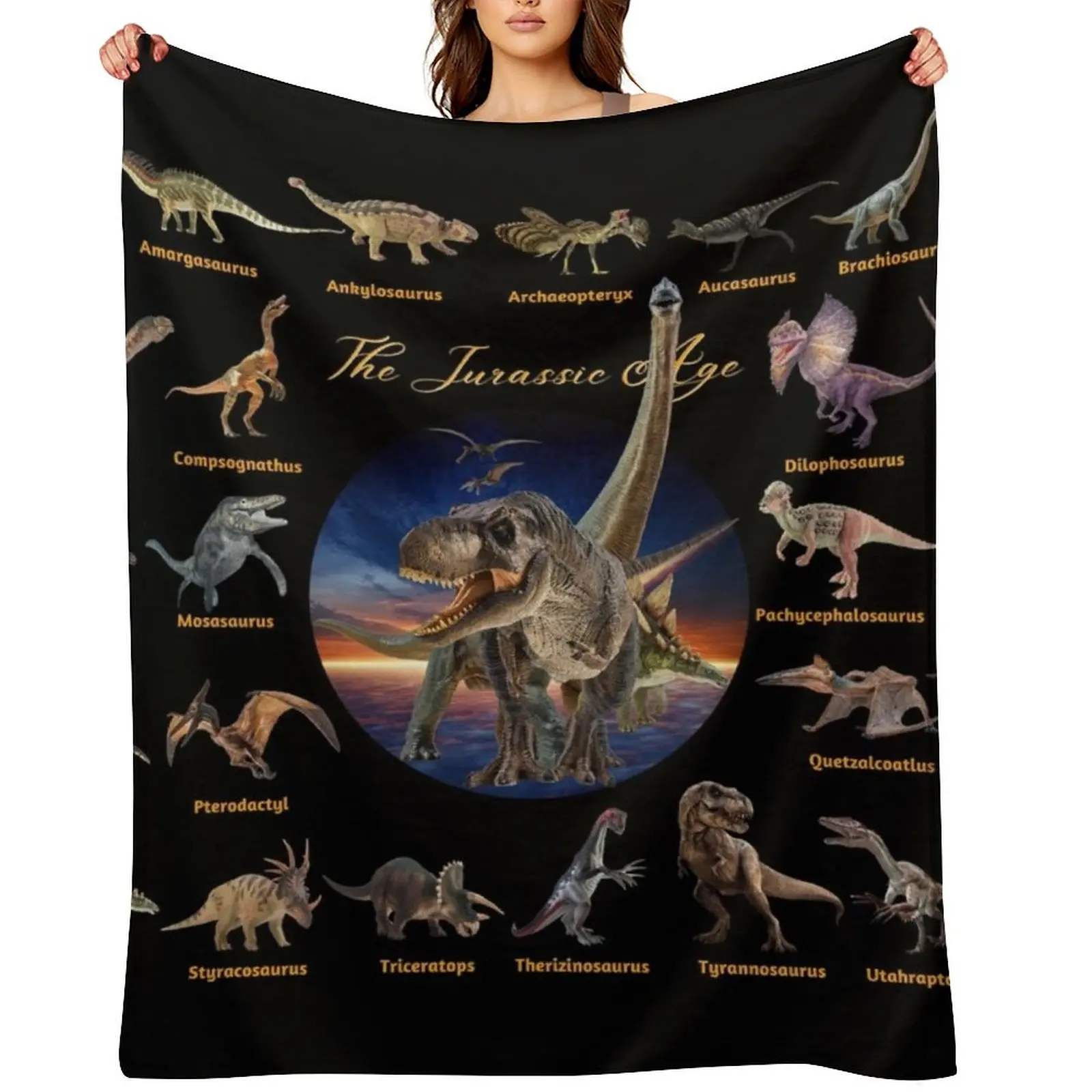 

Dinosaurs: The Jurassic Age (Black Background) Throw Blanket Heavy decorative Blankets For Sofas Personalized Gift Blankets