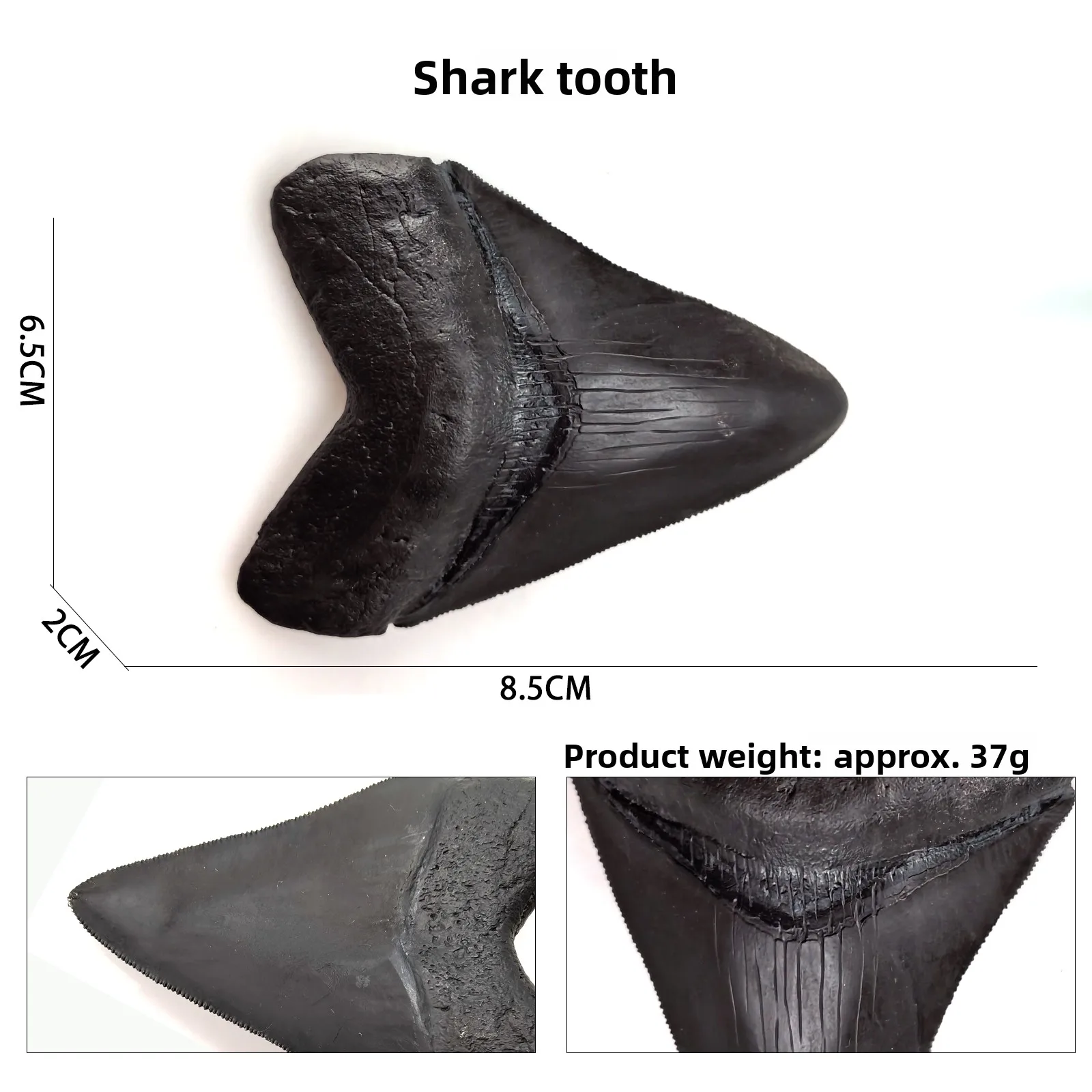 Natural Texture Shark Tooth Model 85cm Lightweight Simulation Toy for Children 3-14 Years Old LE SHANG HAO Brand