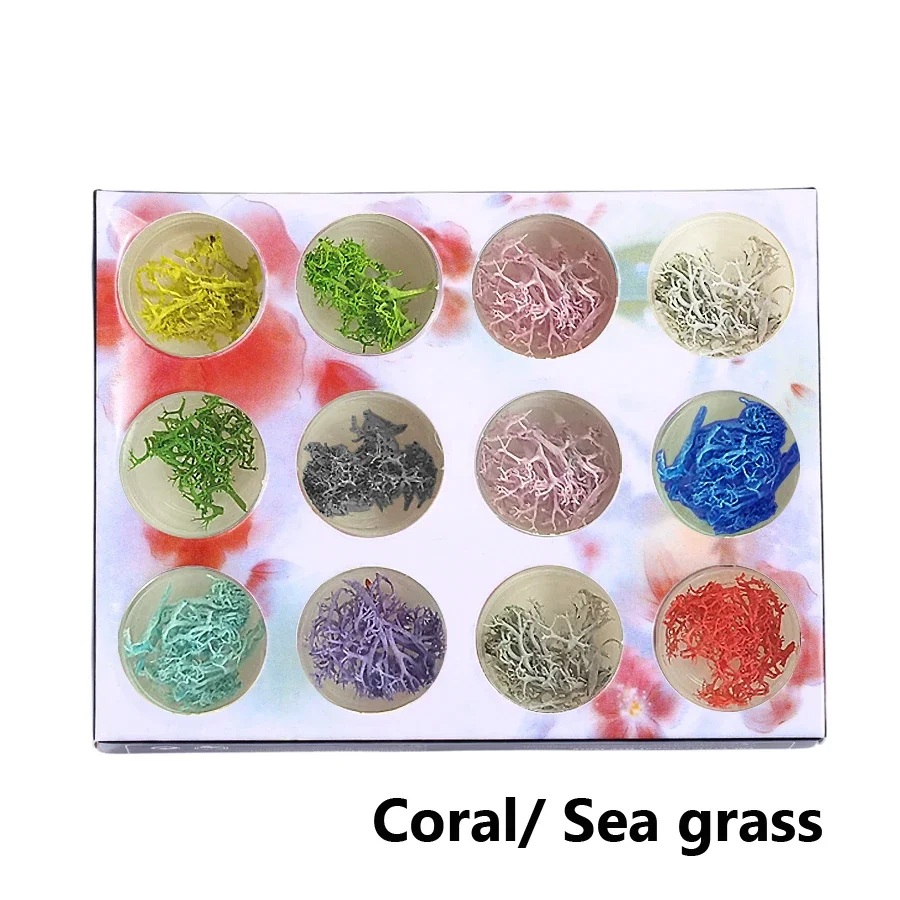 12pçs conjunto de pó de glitter para unhas, lantejoulas para unhas, flocos de seda, linho, gelatina, decoração colorida, faça você mesmo, manicure, arte de unha