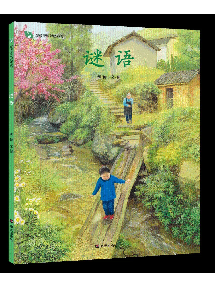 Book-Winshare Riddle Fine Green Mint Original Bilderbuch