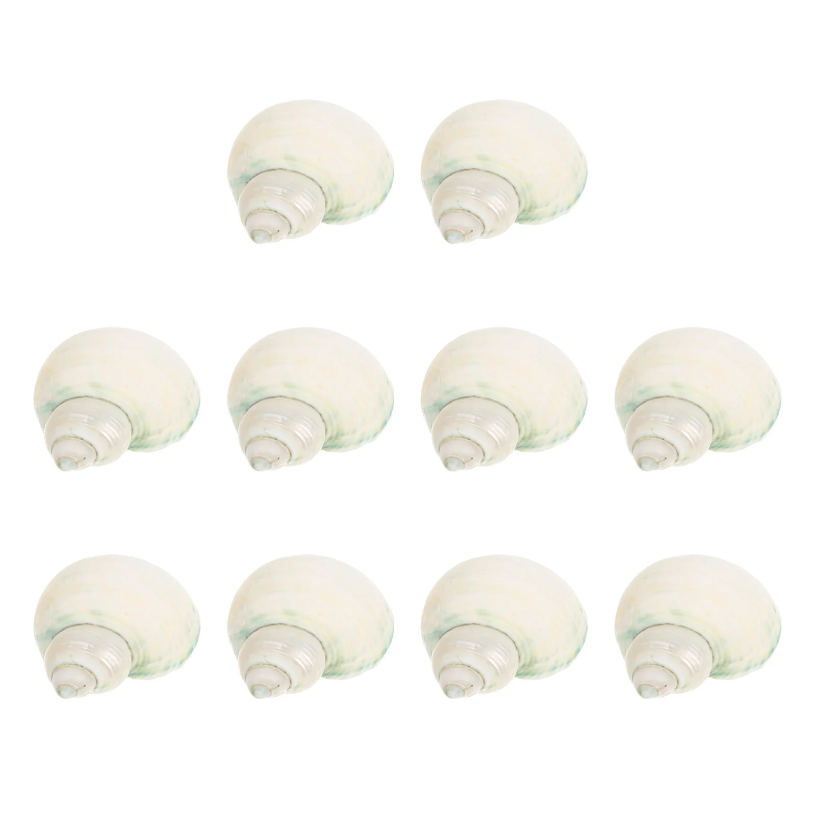 

10Pcs Natural Conch Hermit Crab Shells Fish Tank Decor Aquarium Shell Decorations DIY Craft Supplies Hermit Crab Shells