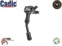 Store code: 45002026 for ignition coil C MAX II-FOCUS III-MONDEO V KUGA II redo ECOBOOST