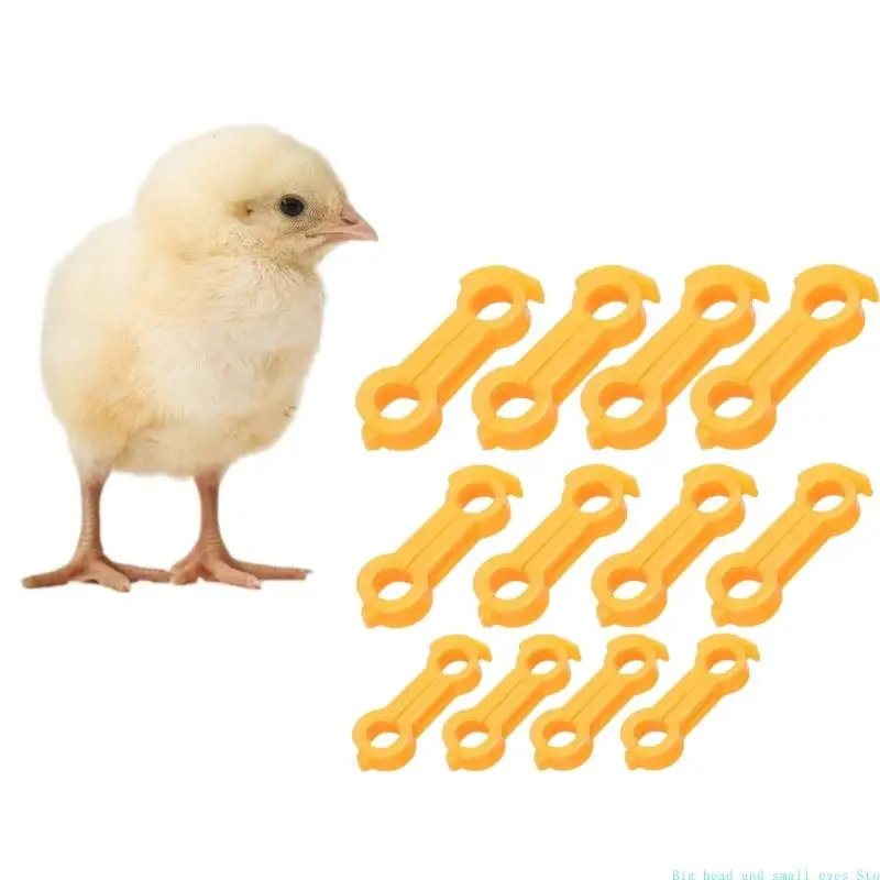 581C 12Pcs Poultry Leg Corrective Brace Plastic For Healthy Growth Bird Health Aid