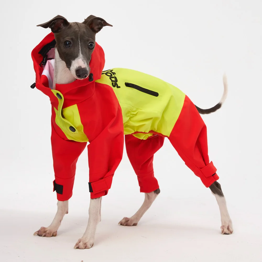 

Модный плащ на 4 ножках для Италии, борзая, ветрозащитная, водонепроницаемая, роскошная, сменная куртка с капюшоном для собаки уиппет