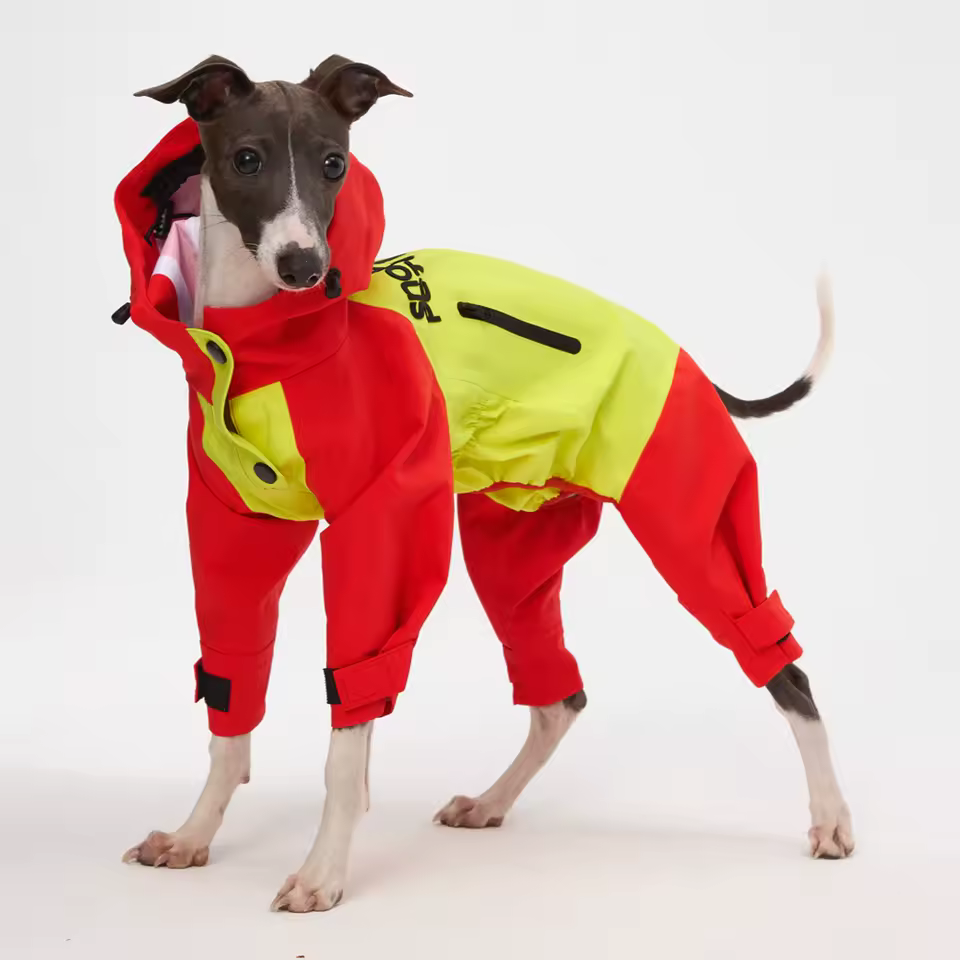 Fashion 4-Legged Raincoat for Italy Greyhound Windproof Waterproof Luxury Hooded Interchange Jacket for Whippet Dog