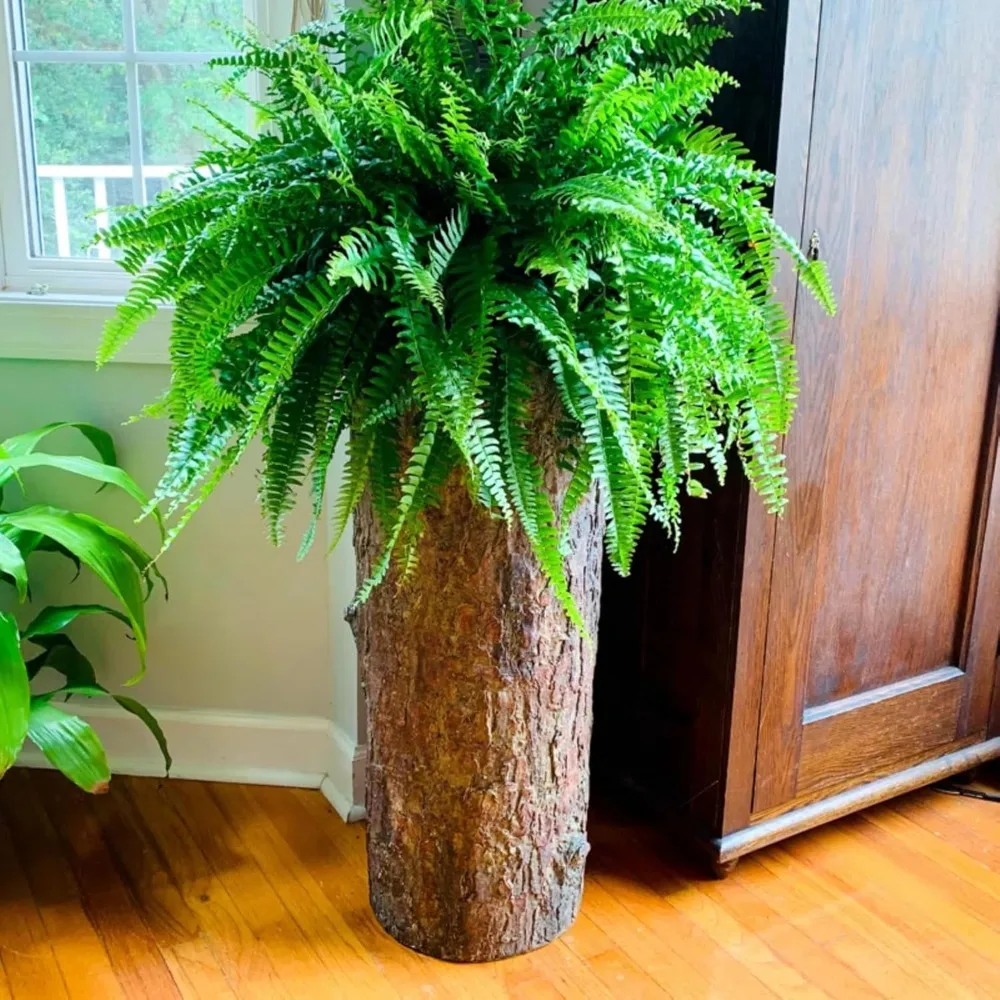

Corner Vintage Plant and Fern Stand. Unique Indoor Stump Planter and Flower Pot. Tall Rustic Indoor Cement Resin Flowerp
