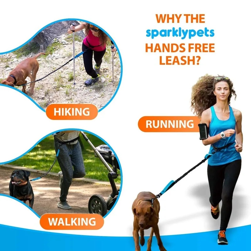 #64 Cheap Dog Supplies Worth Buying