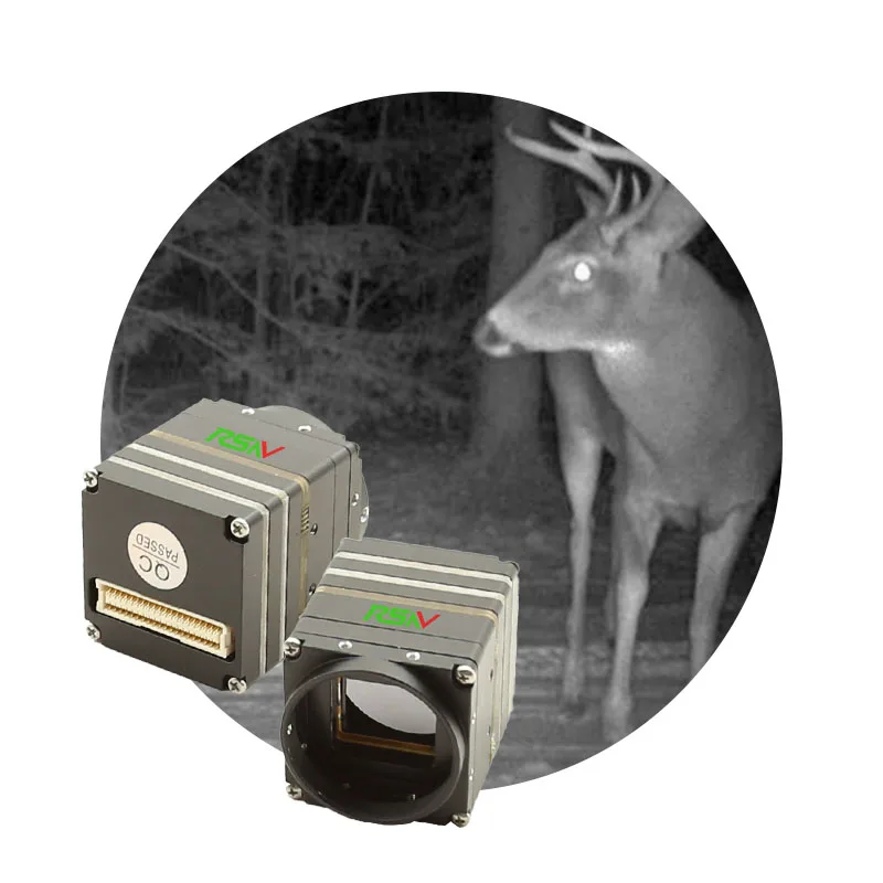 

RSNV Cost-effective Mini 256/384/640 LWIR Micro Thermal Camera Module Uncooled LWIR Camera Module