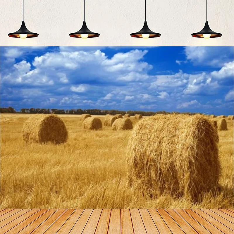 Photography Backdrop Farm Barn Wooden Door Warehouse Field Haystack Horse Banner Portrait Western Cow Boy Scenery Background