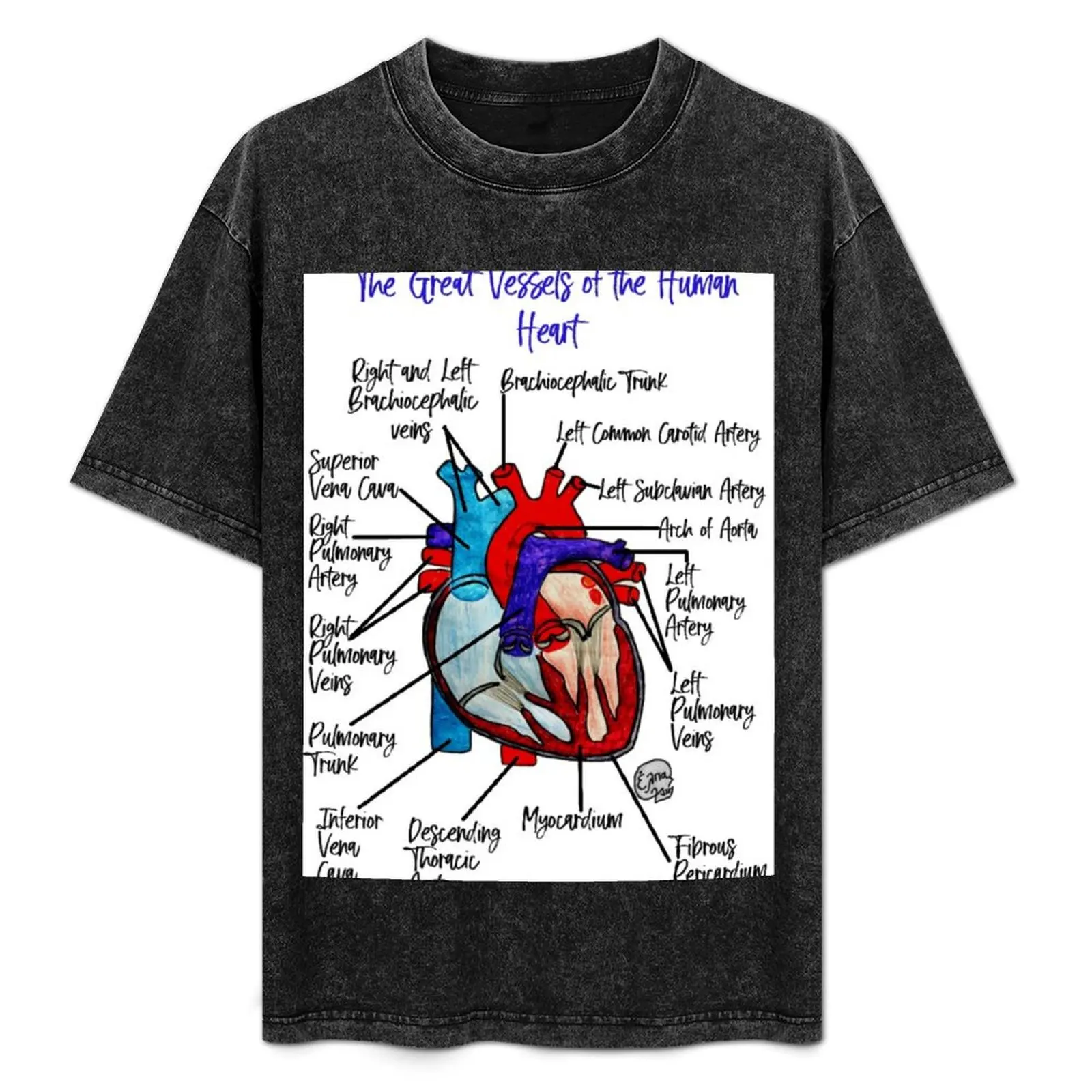 

The Great Vessels of the Human Heart T-Shirt Quick Dry Travel T-Shirt