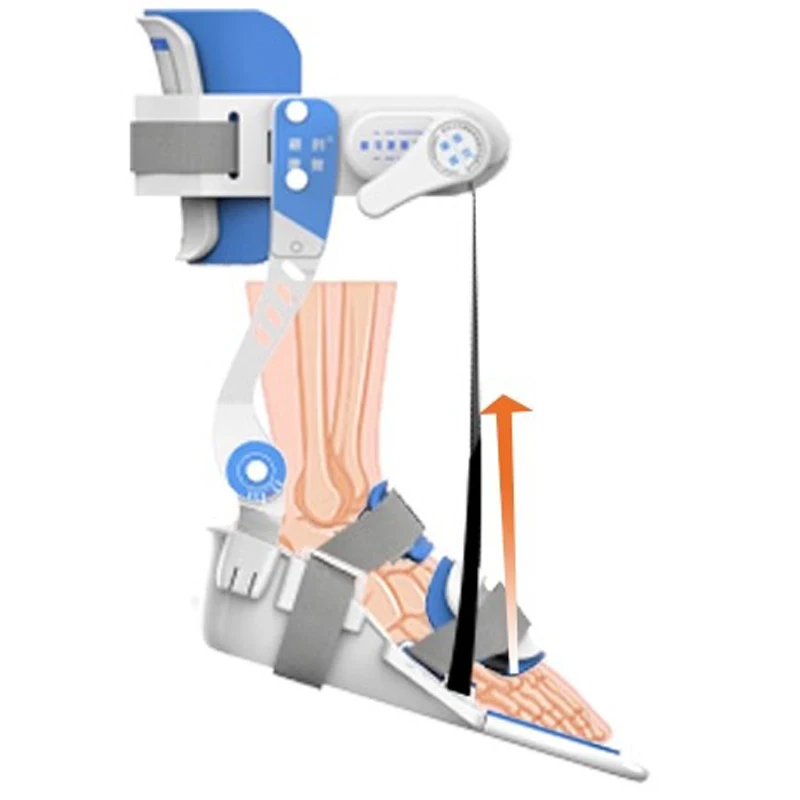 Ankle joint rehabilitation trainer, inversion foot drop orthosis, stroke hemiplegia, cerebral infarction foot support correction