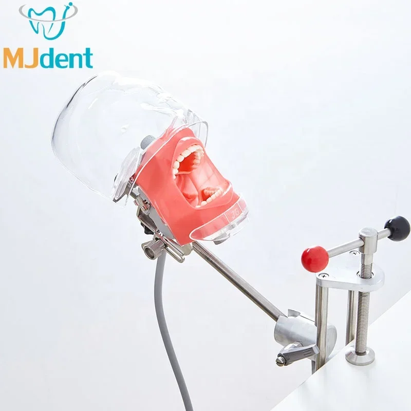 denta Surgery Practice Model Head Attach on clamp Type Simulation Phantom Head