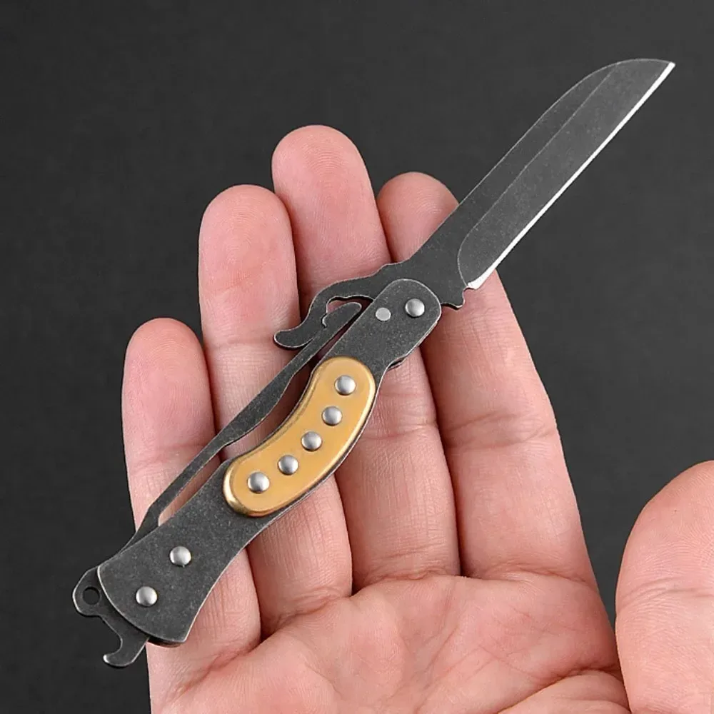 Quick Open Folding Knife Stainless Steel High Hardness EDC Pocket Knife for Camping Fishing Survival Unboxing Cutting Fruit and
