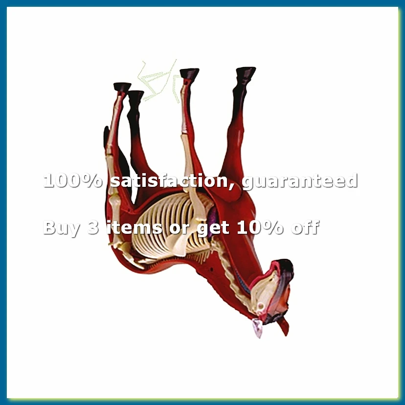 Animal Organ Anatomy Model 4D Horse Intelligence Assembling Toy Teaching Anatomy Model DIY Appliances