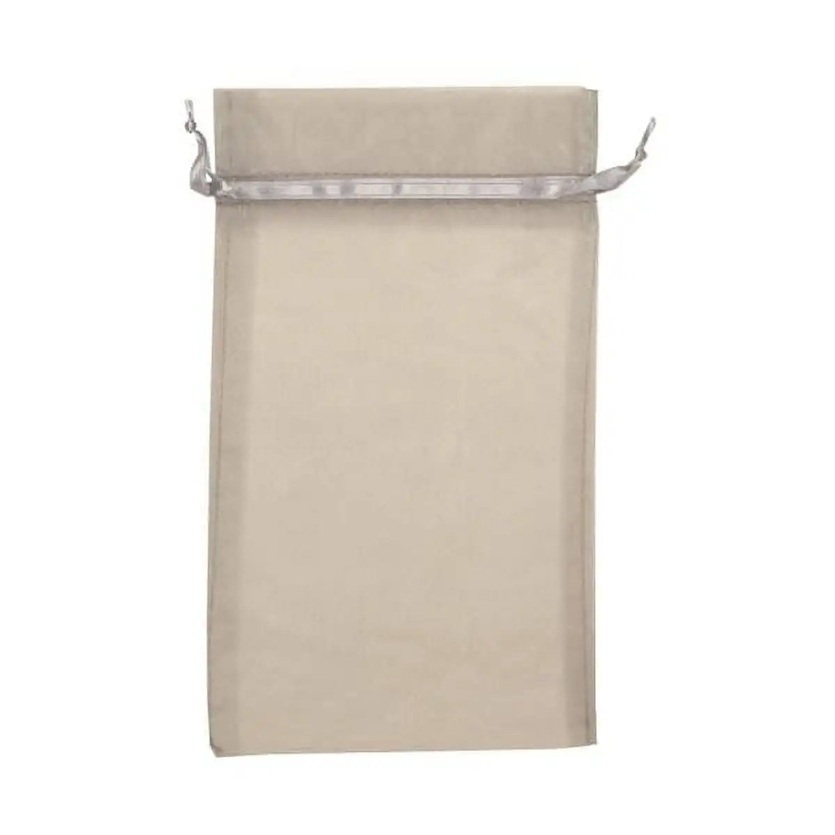 

Sheer Bags, Large, 5 1/2 x 9, Silver, 96/Pack