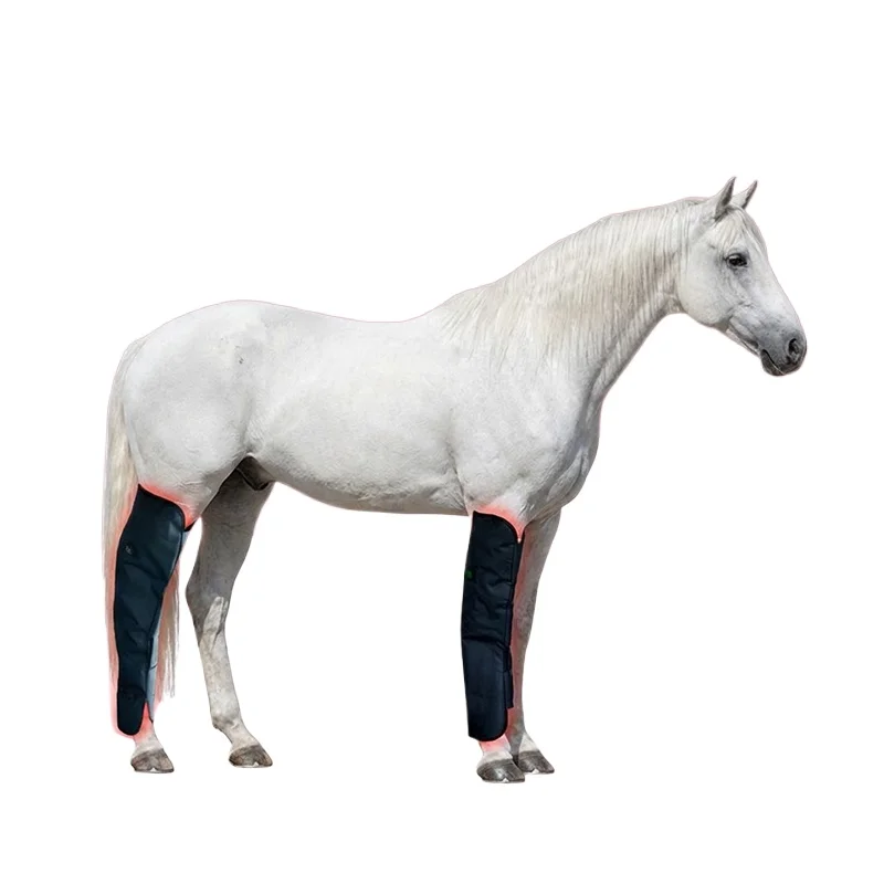 

ROHE Pet Horses Leg Terapy Wraps Horse Device 660nm 850nm Led Red Light Near Infrared Red Light Therapy Horse for Horses Legs