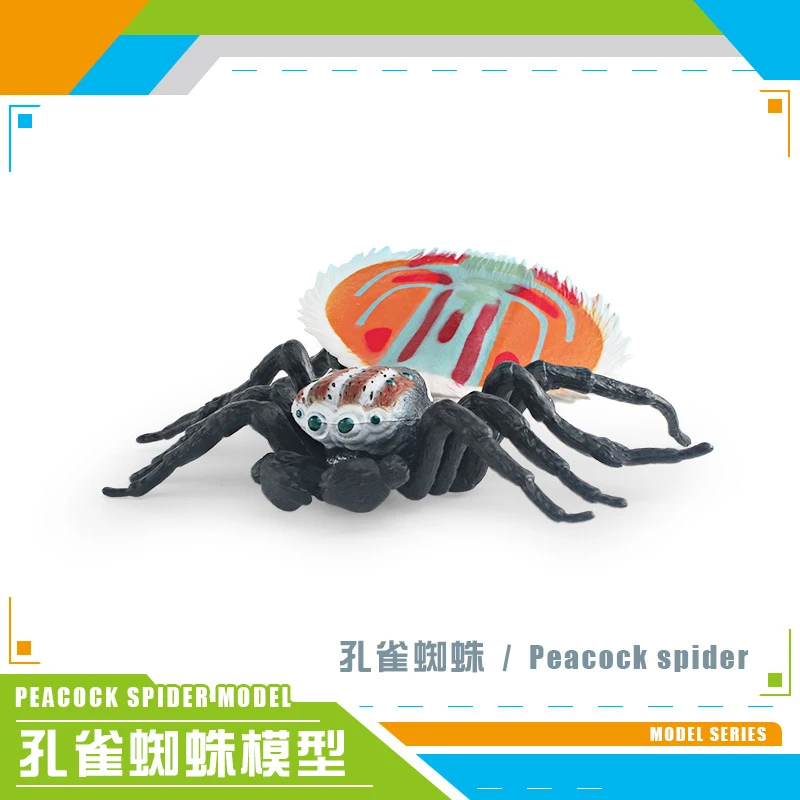Simulation of Insect Animal Model, Red and Blue Jumping Spider Peacock Spider, Striated Fly, Static Ornaments Toy, Original